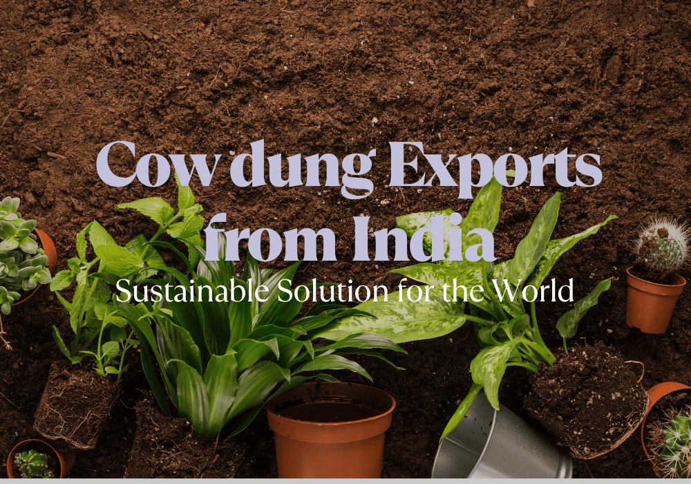 Cow Dung Products Export From India sustainable Solutions for the world