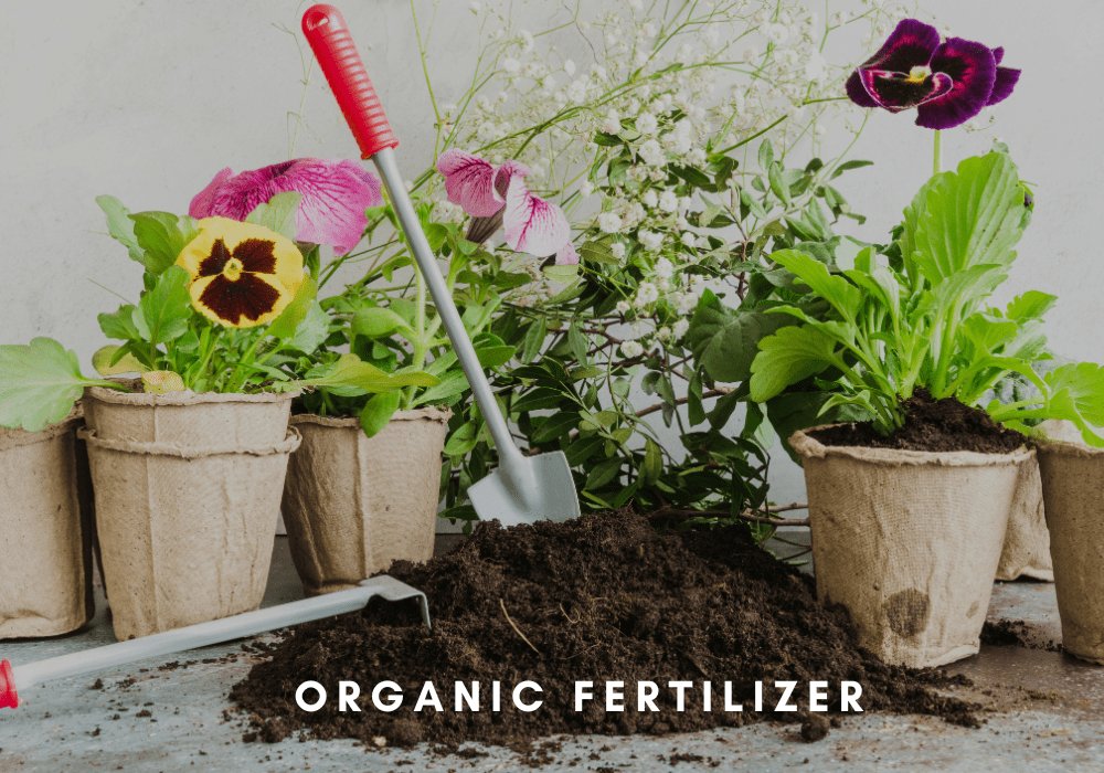 Organic Fertilizer for farm and home garden, organic manure for your plans growths.