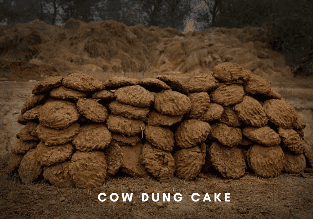Cow dung Cake export from gujarat, India