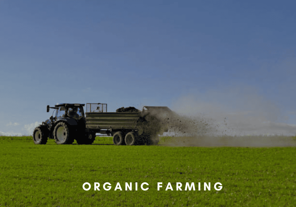 Tractor spreading organic cow dung fertilizer across farmland to enrich soil naturally and promote sustainable agriculture.