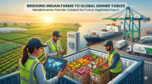 featured image showing the export journey of Indian produce. On the left, lush green vegetable farms at sunrise; in the center, MerakiAnanta professionals inspecting fresh mangoes and onions inside a temperature-controlled reefer container; and on the right, a massive cargo ship and cranes at a port symbolizing global distribution to Dubai and Europe.