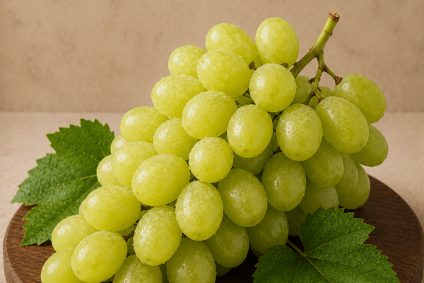 Fresh Indian Grapes for Export Fresh Indian grapes for export from India, premium quality grapes carefully selected for international markets